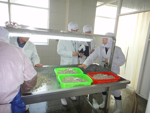 生產(chǎn)車(chē)間-004